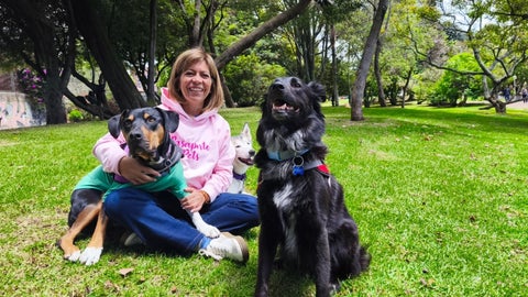 Pasaporte pets se encarga de todos los procesos para que usted pueda viajar con su mascota