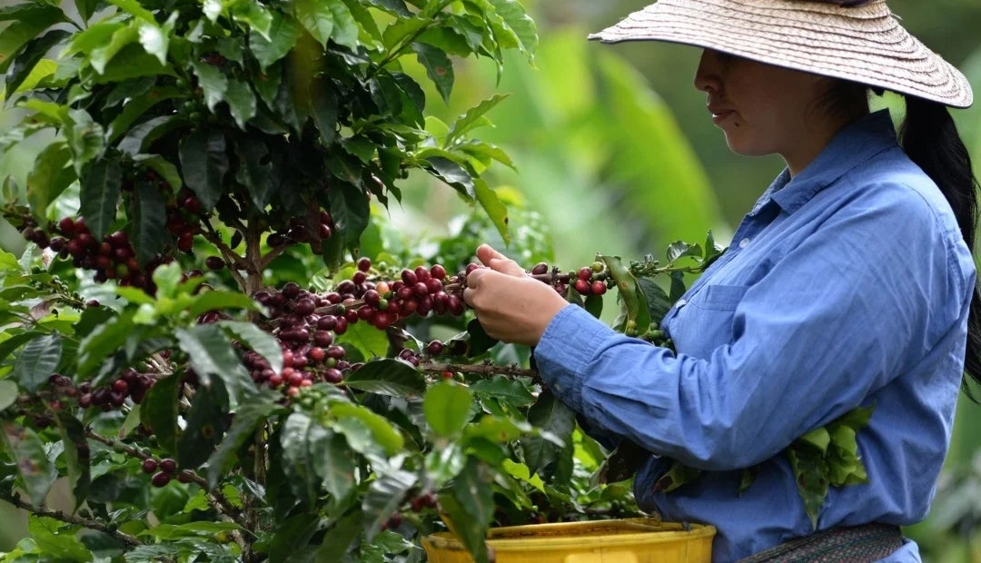 Se busca construir una Colombia más próspera, incluyente y verde Se busca construir una Colombia más próspera, incluyente y verde