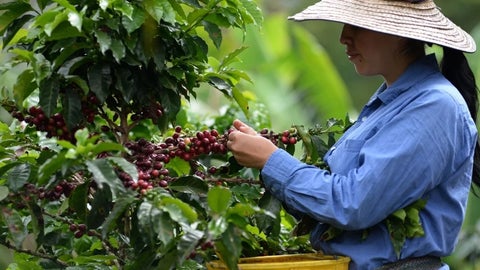 Se busca construir una Colombia más próspera, incluyente y verde