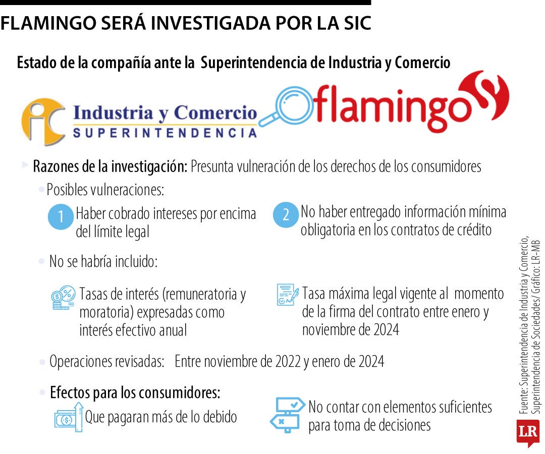 Investigación Flamingo