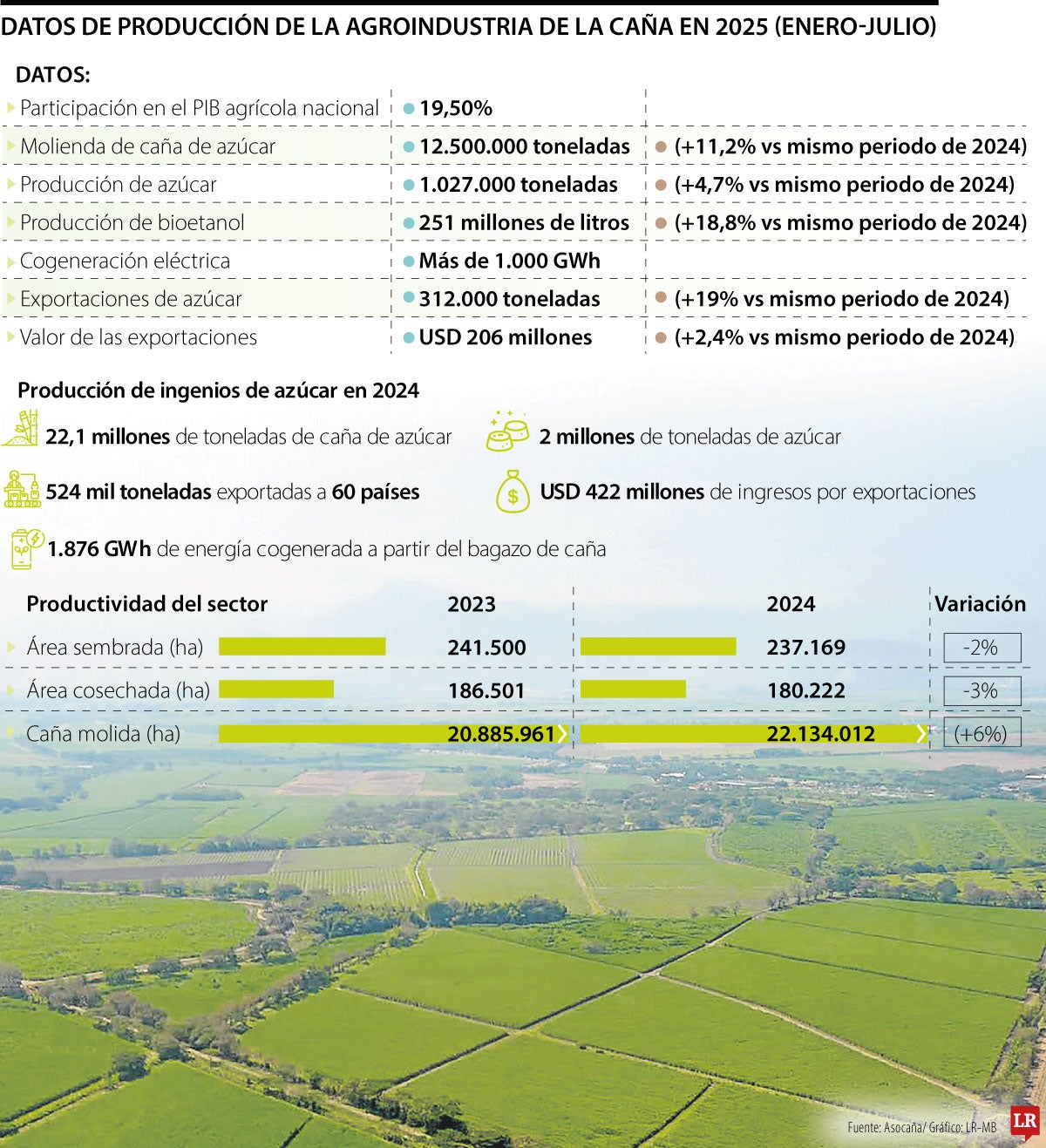 Producción de la agroindustria de la caña en 2025