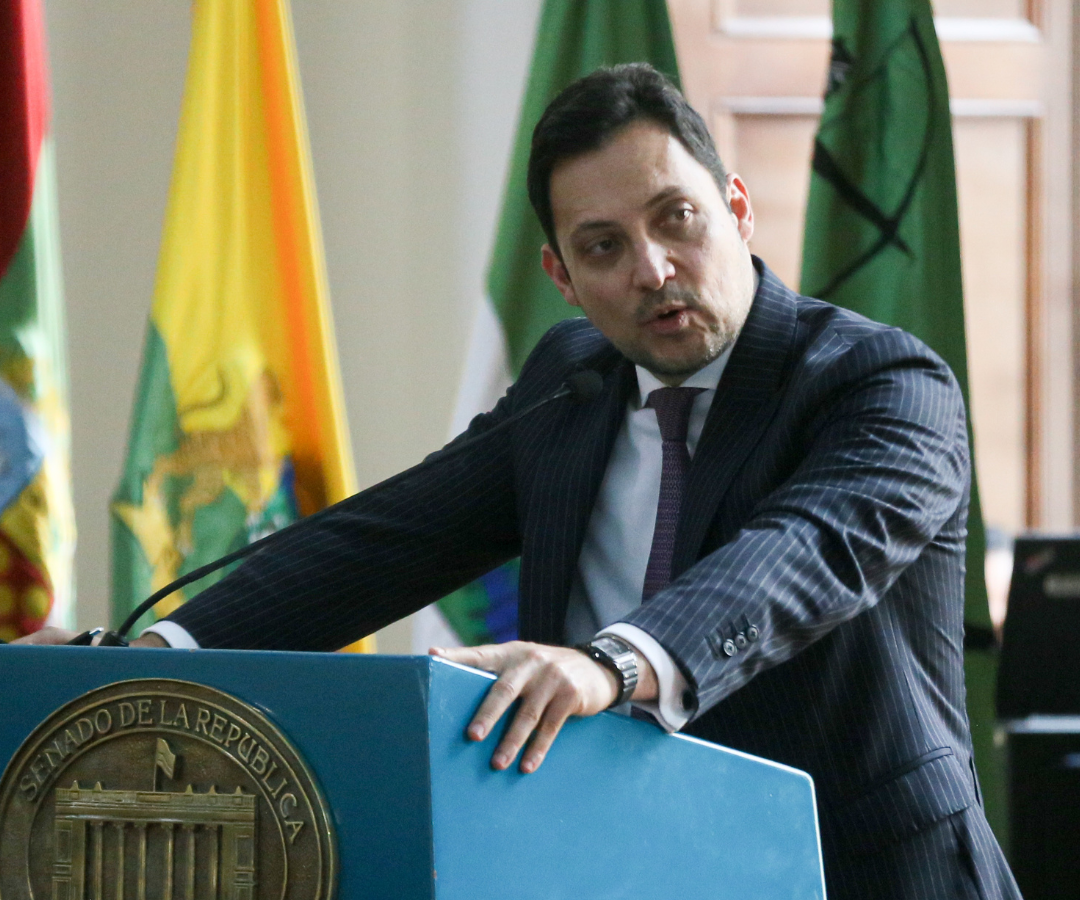 Senador Carlos Motoa