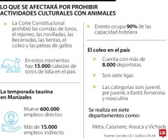 El impacto del fallo de la Corte en el sector de los toros