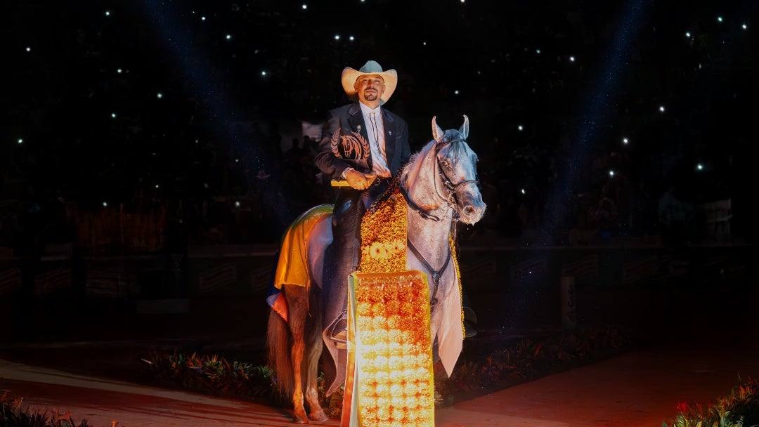 La leyenda del Caballo Criollo Colombiano se escribe con ciencia, tecnología, formación continua y cooperación de expertos