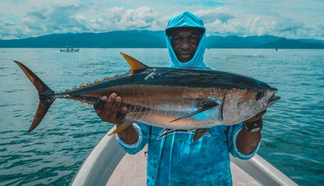 La tilapia domina el sector, representando el 56% de la producción total del país La tilapia domina el sector, representando el 56% de la producción total del país
