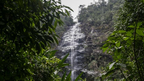El descubrimiento tuvo lugar en el Parque Nacional Natural Farallones de Cali