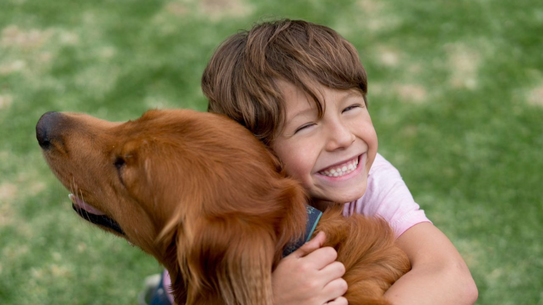 Aseguradora Solidaria de Colombia lanzó el primer seguro integral que cubre a mascotas, a sus dueños y al patrimonio familiar