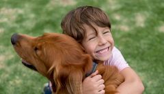 Aseguradora Solidaria de Colombia lanzó el primer seguro integral que cubre a mascotas, a sus dueños y al patrimonio familiar