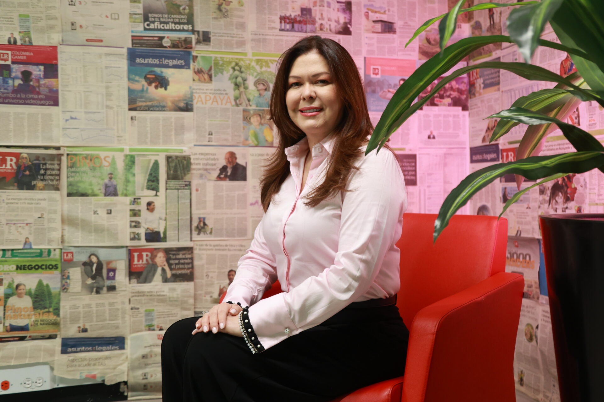 Nidia Hernández, presidente ejecutiva de Colfecar