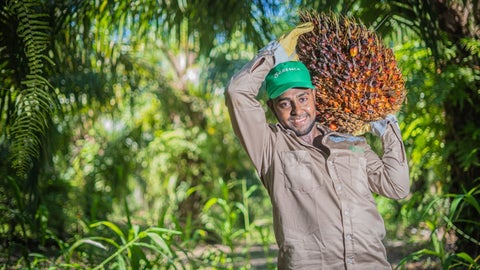 Trabajador de Gremca