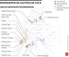 Radiografía de cultivos de coca
