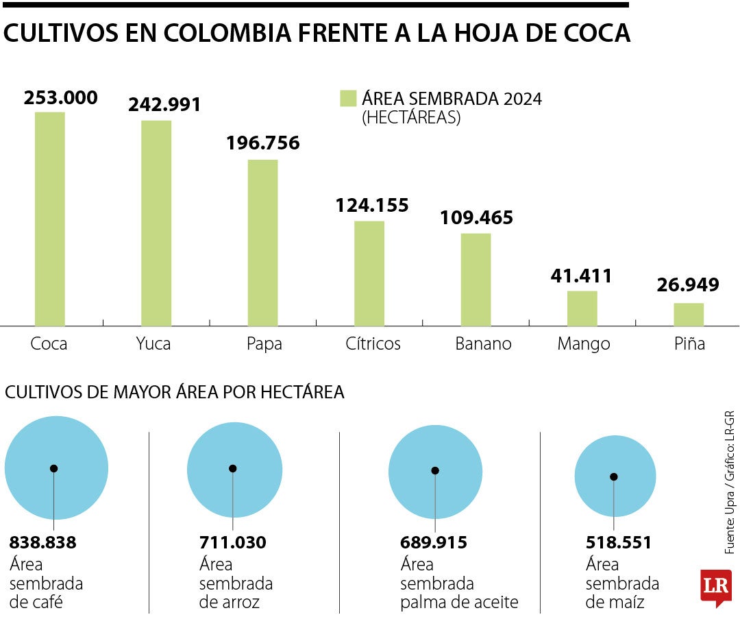 Cultivos de coca frente a productos agrícolas