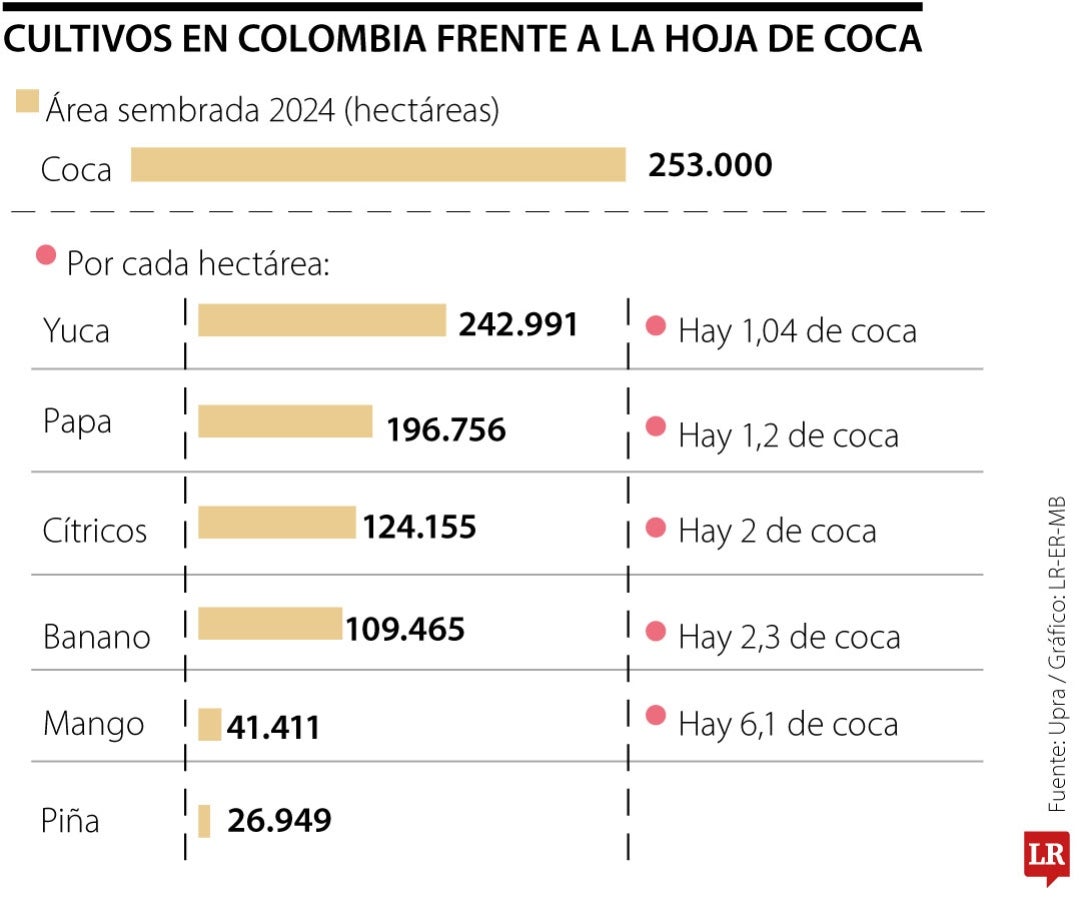 Cultivos en Colombia frente a la hoja de coca