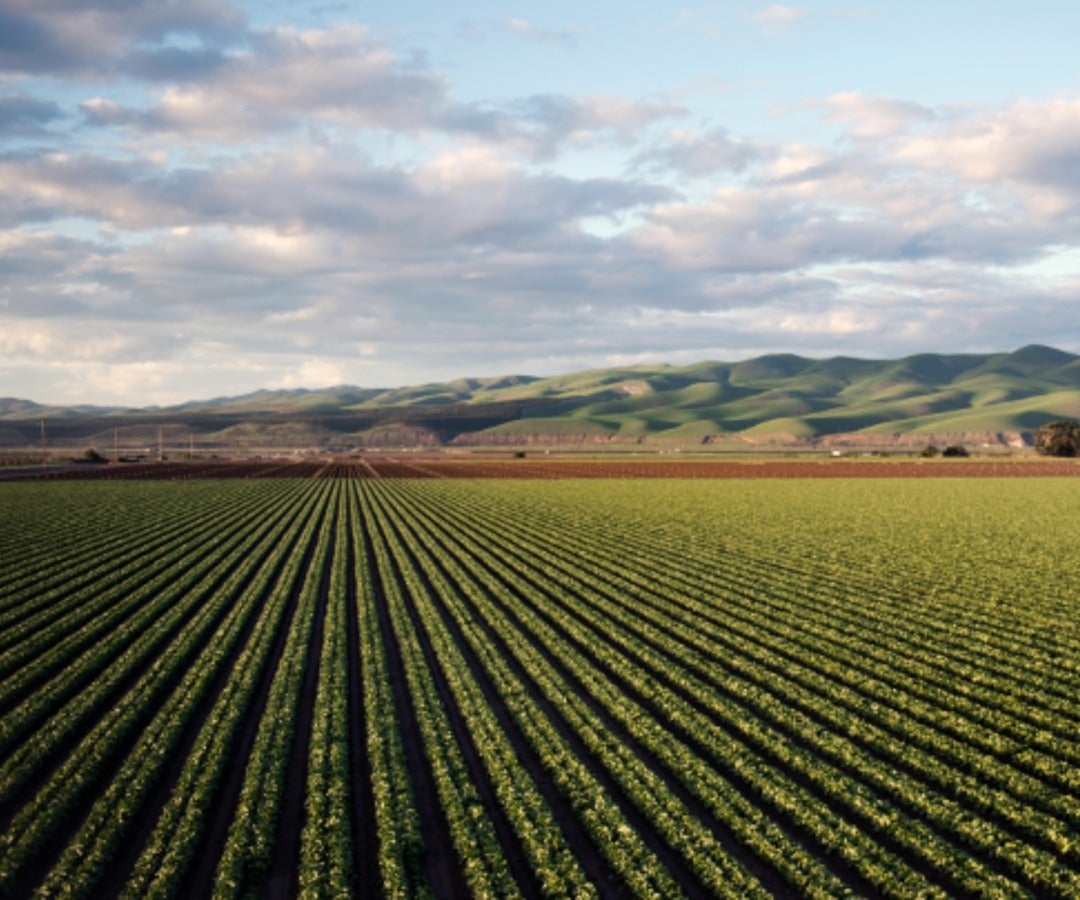 El Caih ha realizado talleres, webinars y eventos en pro del fortalecimiento de capacidades