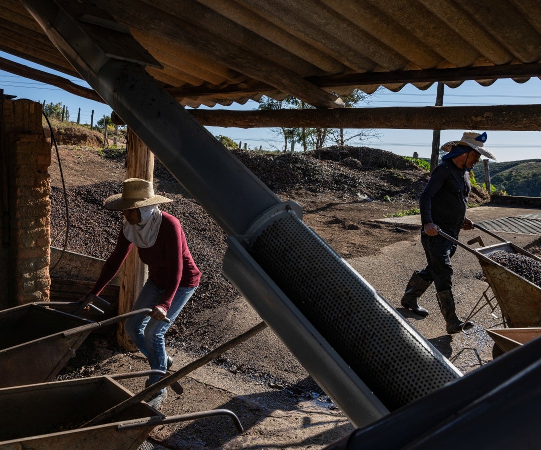 La exención se aplicaría al café tostado y descafeinado, así como a la cáscara, la piel y otros productos que contengan café