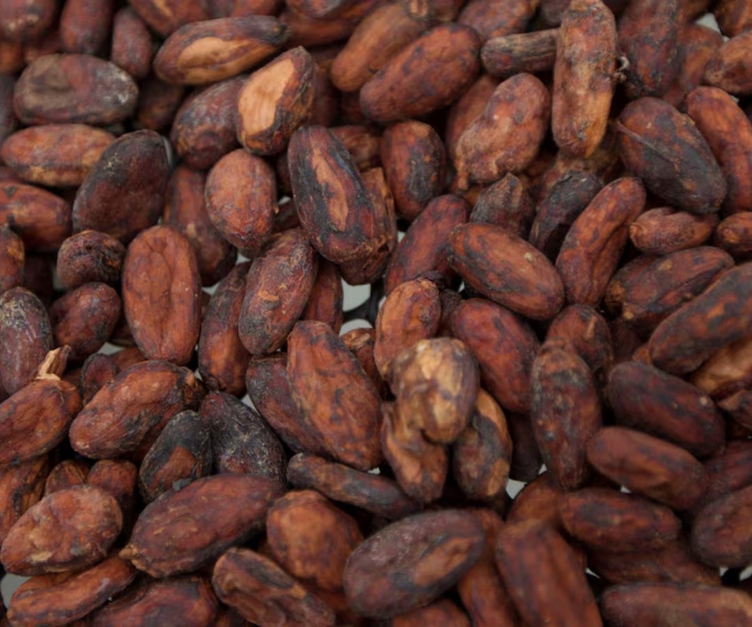 Cacao en Ecuador
