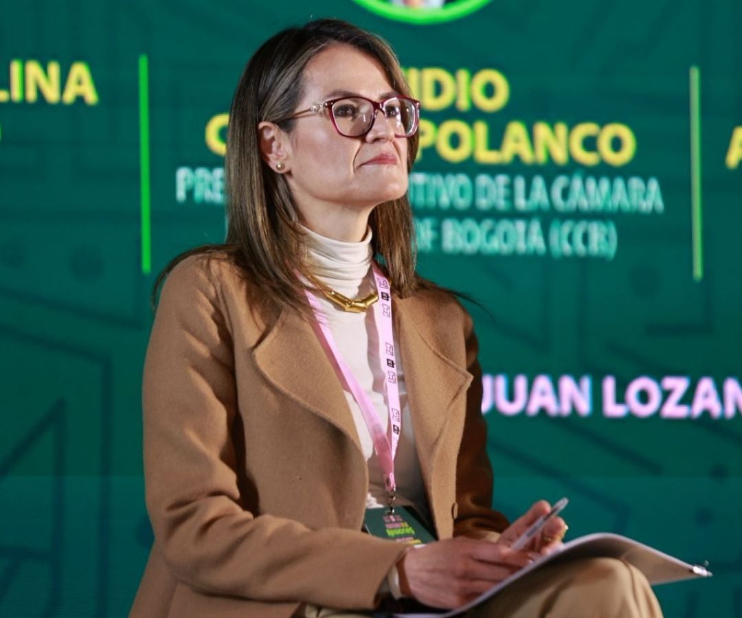 María Carolina Castillo, presidente de ProBogotá