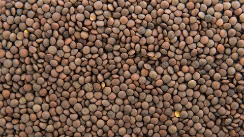 Las lentejas son leguminosas con un buen aporte de proteína, es decir que, por cada 100 g cocidos, tienen 9 g de proteína