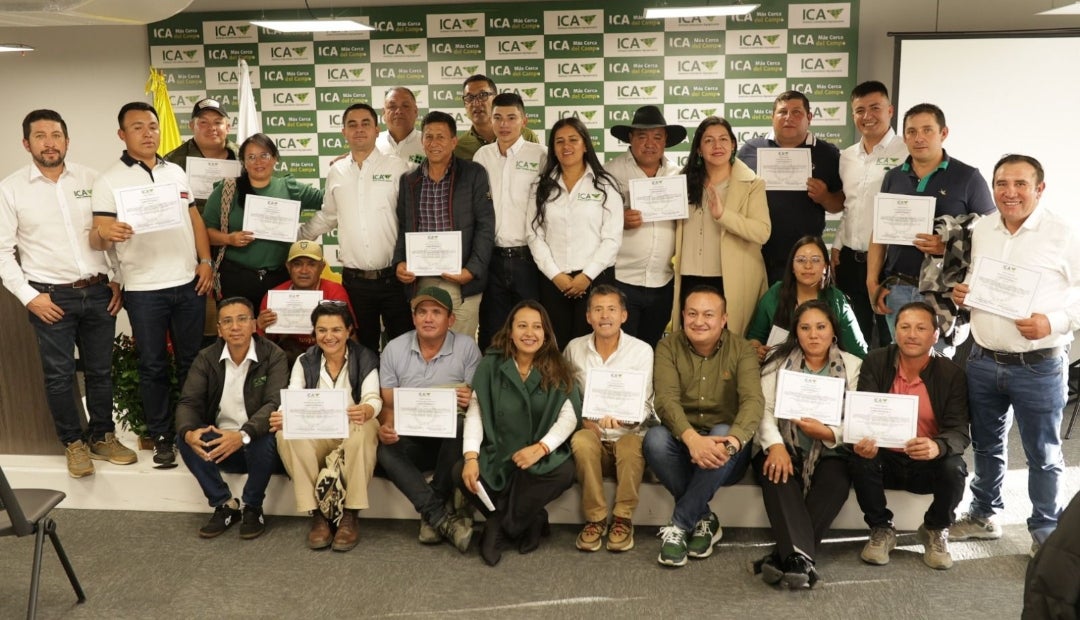 Productores de cebolla Productores de cebolla