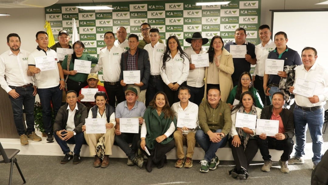 Productores de cebolla