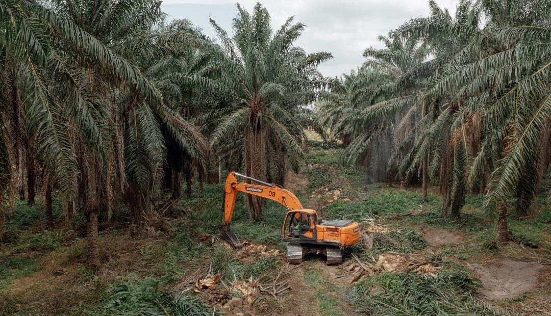 Los cargos contra Wilmar se derivaron de las acciones tomadas por cinco de sus filiales entre julio y diciembre de 2021 durante la escasez de aceite de cocina Los cargos contra Wilmar se derivaron de las acciones tomadas por cinco de sus filiales entre julio y diciembre de 2021 durante la escasez de aceite de cocina