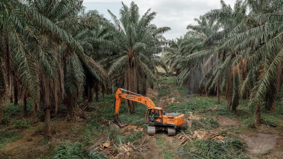 Los cargos contra Wilmar se derivaron de las acciones tomadas por cinco de sus filiales entre julio y diciembre de 2021 durante la escasez de aceite de cocina