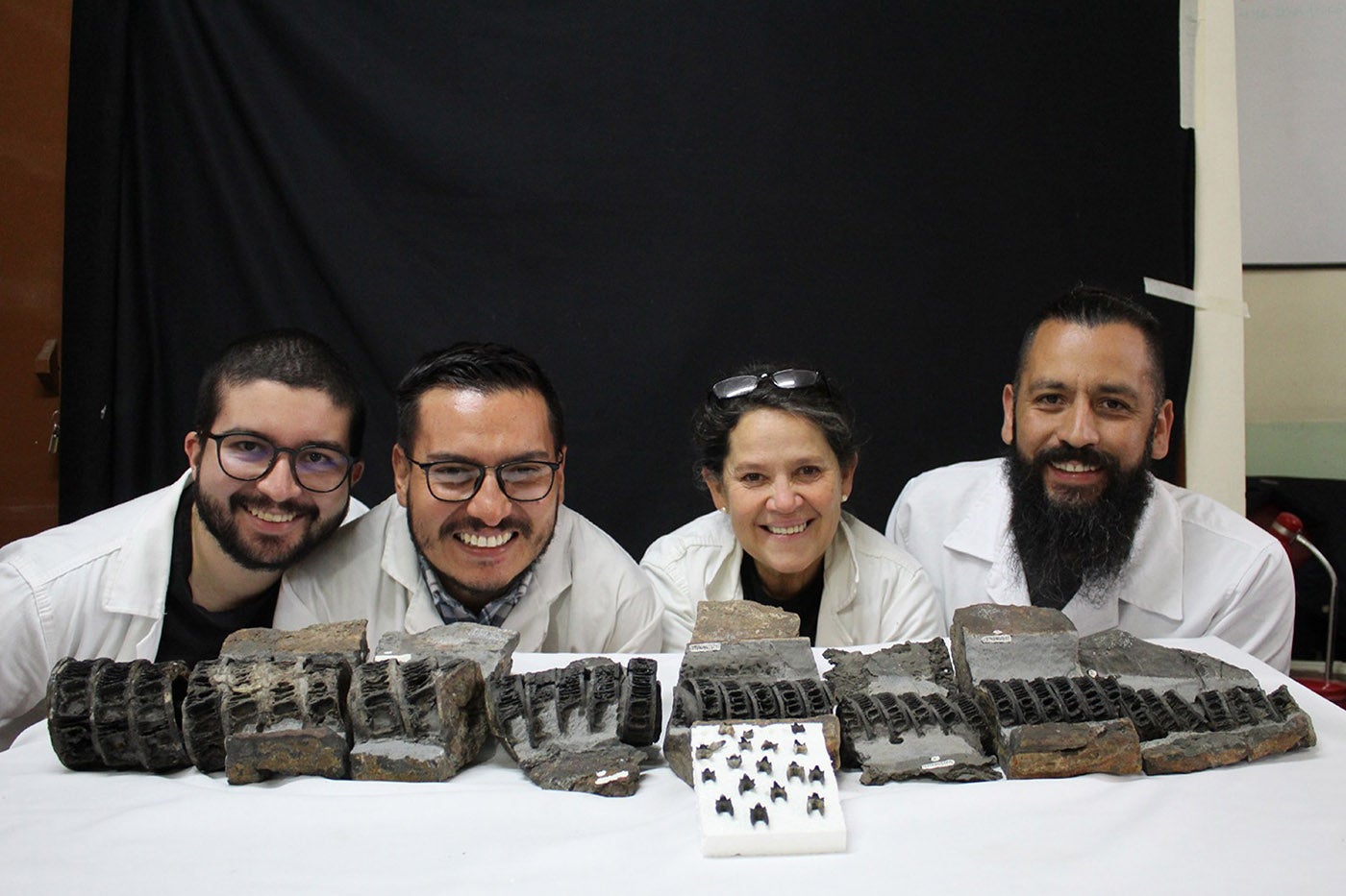 Equipo de trabajo que identificó el fósil de tiburón gigante. Foto: Cristian David Benavides Cabra, magíster en Geología de la Unal.