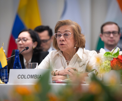 Rosa Villavicencio, canciller