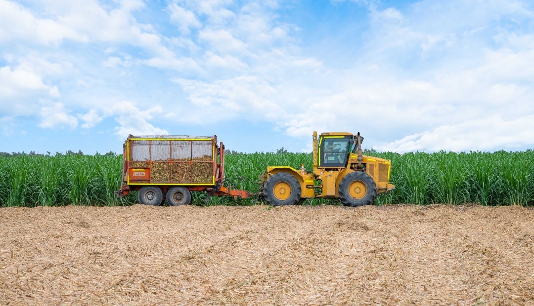 Incauca ha trabajado en el desarrollo de algoritmos de predicción de productividad basados en IA, modelos de toma de decisiones enfocados en cuándo plantar y cuándo no, e incluso recomendaciones para hacerlo Incauca ha trabajado en el desarrollo de algoritmos de predicción de productividad basados en IA, modelos de toma de decisiones enfocados en cuándo plantar y cuándo no, e incluso recomendaciones para hacerlo