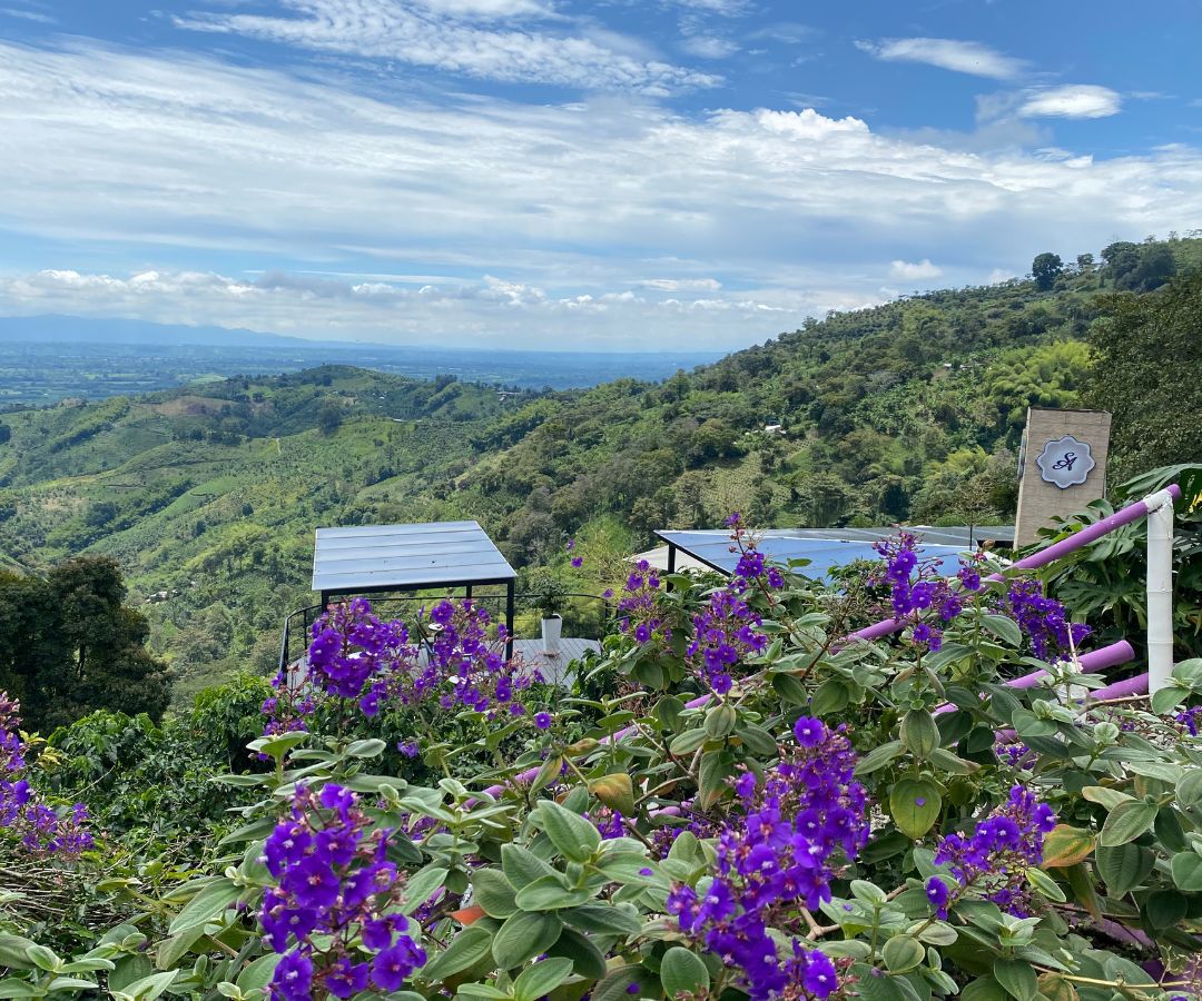 Vista panorámica desde la terraza San Alberto.