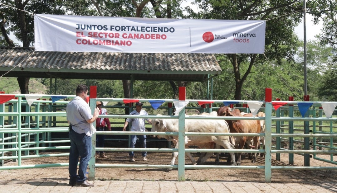 Ganadería Ganadería