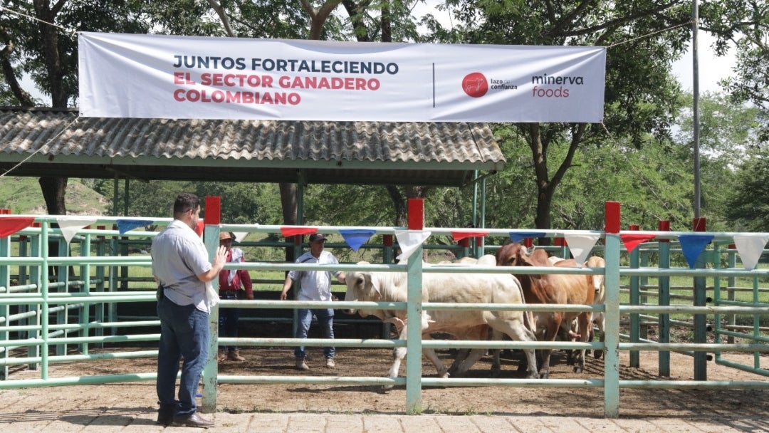 Ganadería