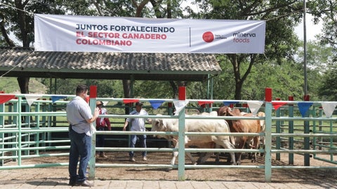 Ganadería