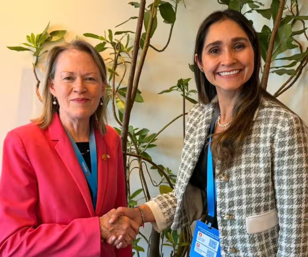 Reunión bilateral entre Colombia y la Agencia Internacional de Energía