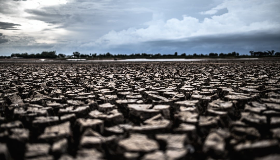 El proyecto de adaptación basada en los ecosistemas para la resiliencia rural, dirigido por el Pnuma, ha ayudado a miles de pequeños agricultores a desarrollar su resiliencia al cambio climático El proyecto de adaptación basada en los ecosistemas para la resiliencia rural, dirigido por el Pnuma, ha ayudado a miles de pequeños agricultores a desarrollar su resiliencia al cambio climático
