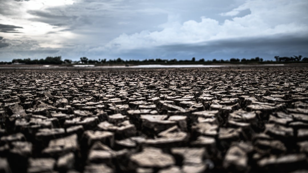 El proyecto de adaptación basada en los ecosistemas para la resiliencia rural, dirigido por el Pnuma, ha ayudado a miles de pequeños agricultores a desarrollar su resiliencia al cambio climático