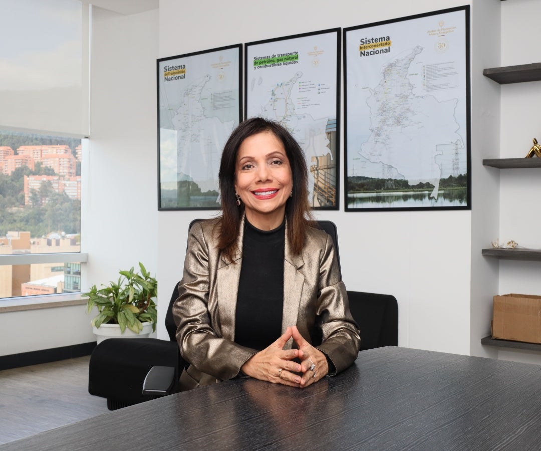 Fanny Guerrero, experta comisionada de la Creg