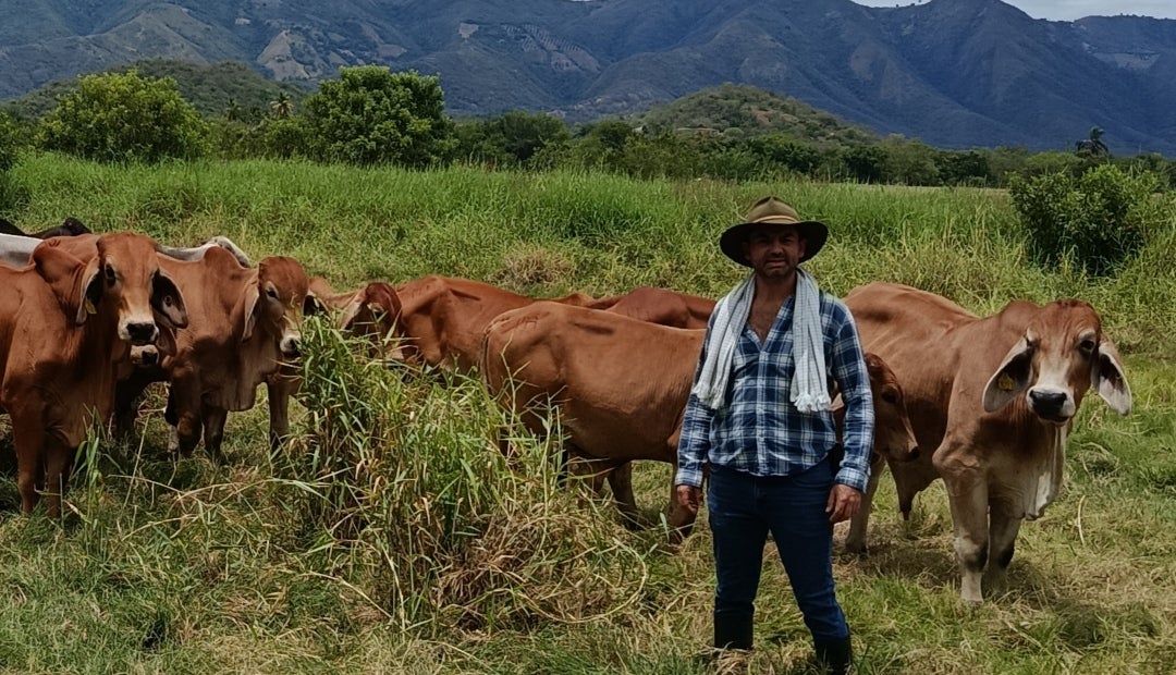 Esta nueva visión de la ganadería es una respuesta concreta a desafíos que enfrentan hoy los productores Esta nueva visión de la ganadería es una respuesta concreta a desafíos que enfrentan hoy los productores