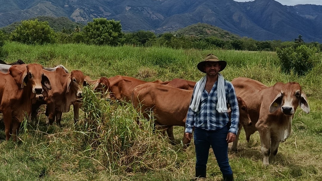 Esta nueva visión de la ganadería es una respuesta concreta a desafíos que enfrentan hoy los productores