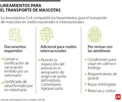 Pautas para el transporte de mascotas