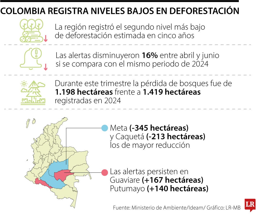 La deforestación bajó sus alertas hasta junio