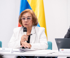 Rosa Villavicencio, canciller
