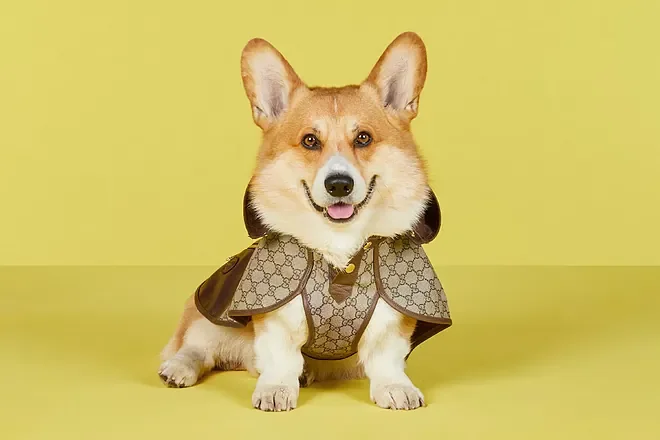 Abrigo con GG de Gucci