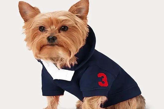 Sudadera con Big Pony de Polo Ralph Lauren