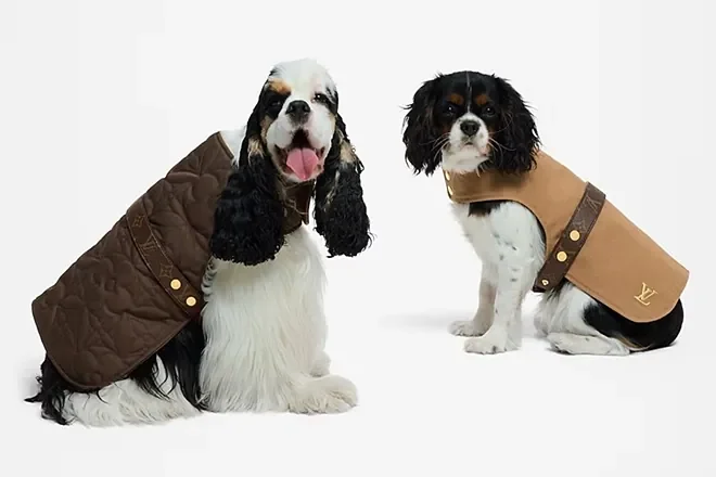 Impermeable para perro de Louis Vuitton