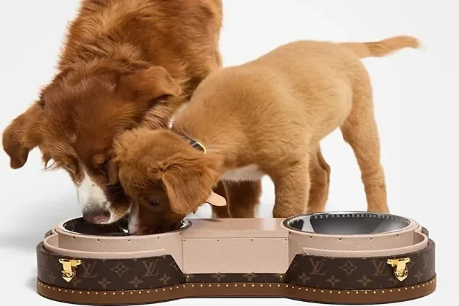 Baúl Bone de Louis Vuitton