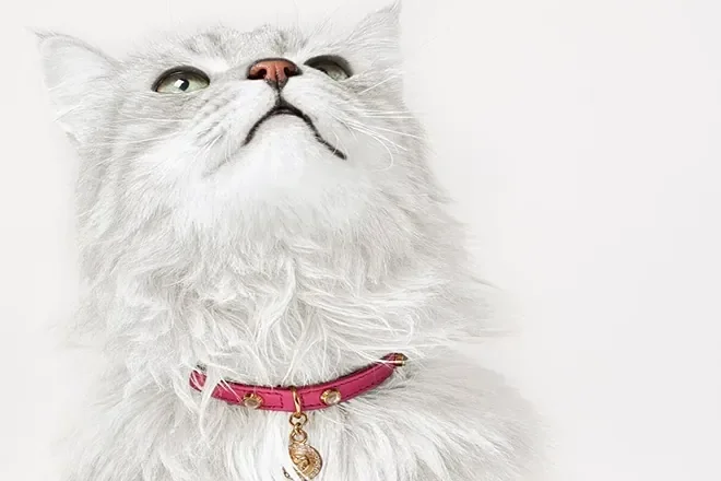 Collar Icon con cristales, logo y colgante de Versace