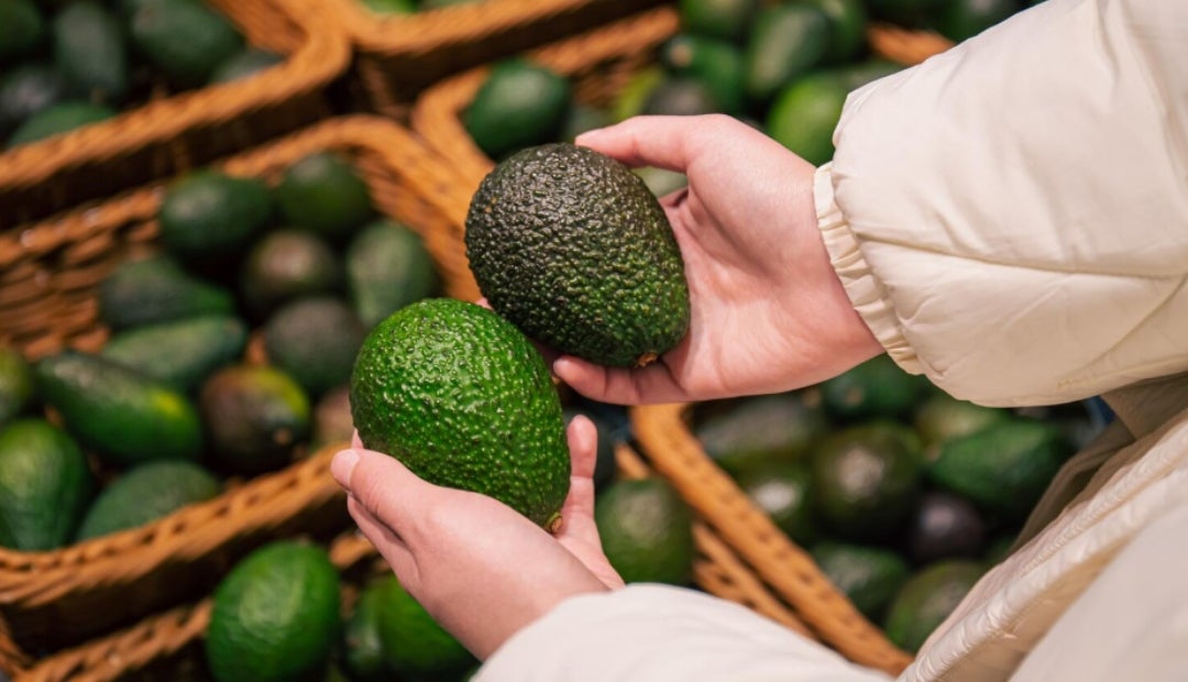 Colombia exportó 14.611 toneladas de aguacate Hass durante septiembre de 2025 Colombia exportó 14.611 toneladas de aguacate Hass durante septiembre de 2025