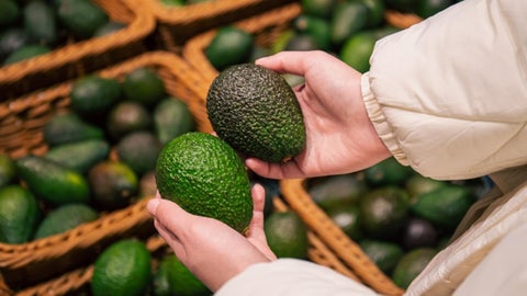 Colombia exportó 14.611 toneladas de aguacate Hass durante septiembre de 2025