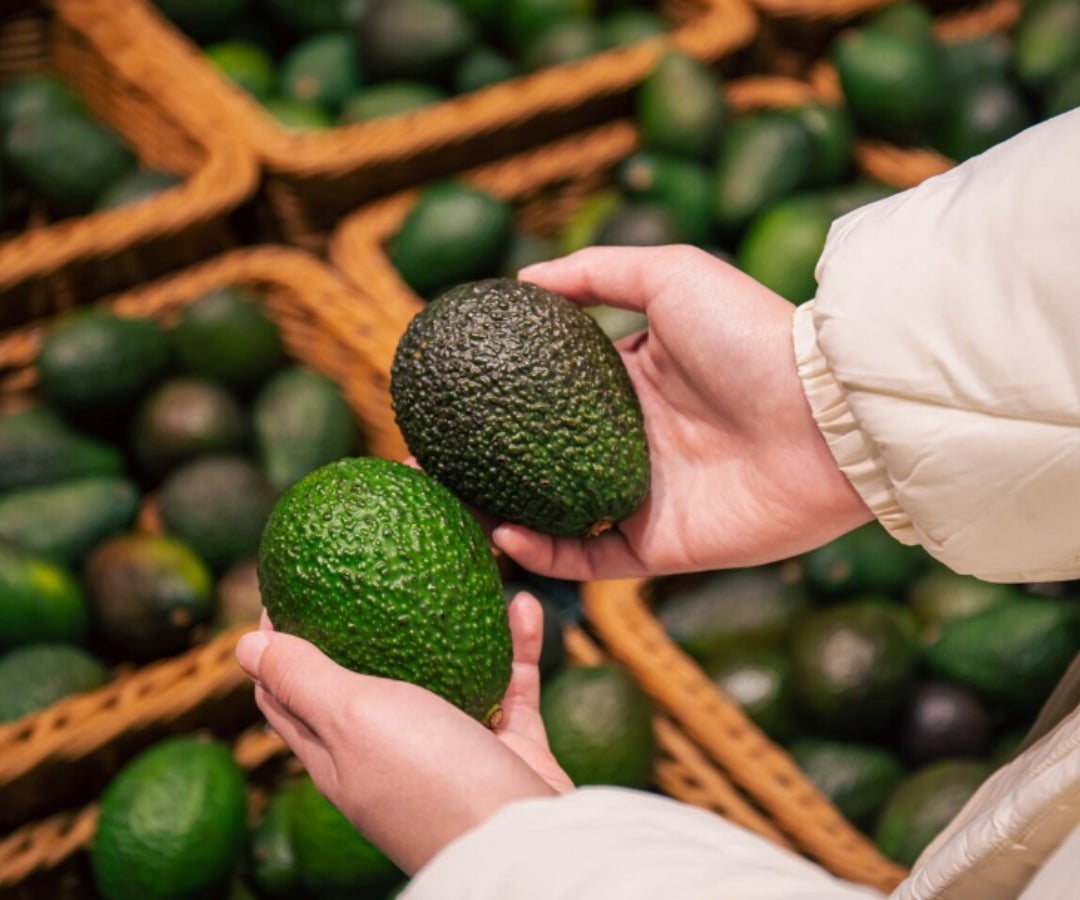 El aguacate Hass inició la semana con un incremento de $1.000 después de semanas manteniéndose en $5.000